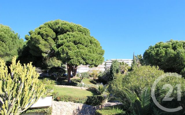 Afficher la photo en grand Appartement F1 à vendre - 1 pièce - 22.22 m2 - CANNES - 06 - PROVENCE-ALPES-COTE-D-AZUR - Century 21 Adhère Transactions