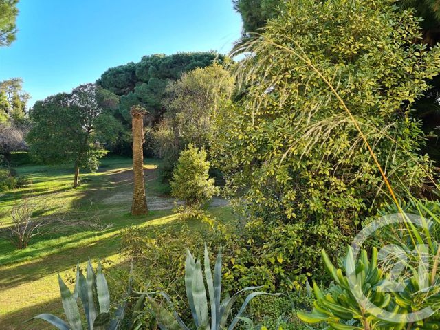 Appartement F2 à vendre - 2 pièces - 72.56 m2 - CANNES - 06 - PROVENCE-ALPES-COTE-D-AZUR - Century 21 Adhère Transactions Appartement F2 à vendre - 2 pièces - 72.56 m2 - CANNES - 06 - PROVENCE-ALPES-COTE-D-AZUR - Century 21 Adhère Transactions