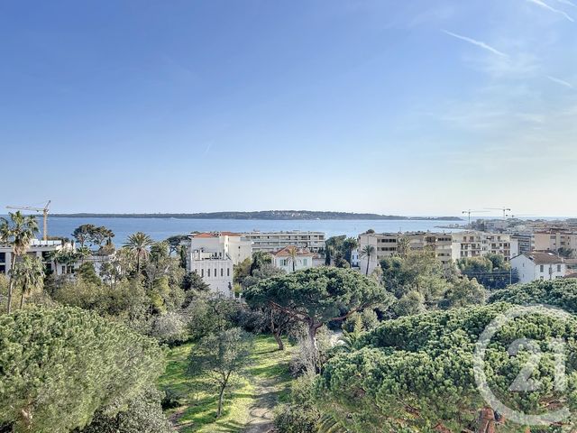 appartement - CANNES - 06