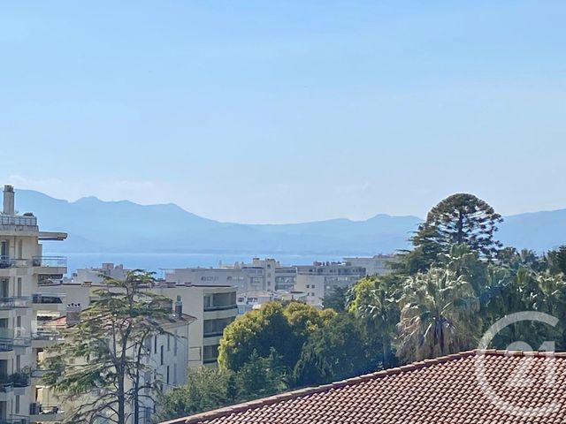 appartement - CANNES - 06