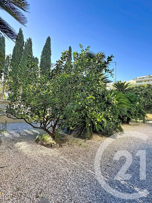 Appartement F1 à vendre - 1 pièce - 16.0 m2 - CANNES - 06 - PROVENCE-ALPES-COTE-D-AZUR - Century 21 Adhère Transactions