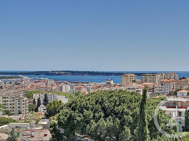 Appartement F3 à louer - 3 pièces - 87.4 m2 - CANNES - 06 - PROVENCE-ALPES-COTE-D-AZUR - Century 21 Adhère Transactions