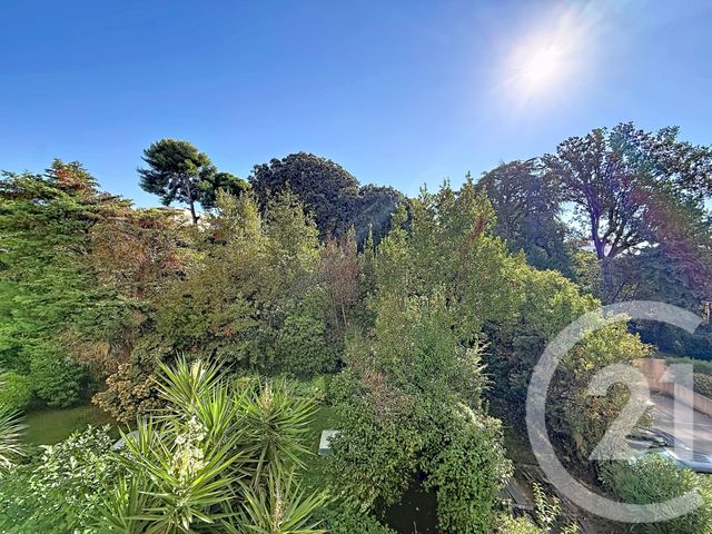 appartement - CANNES - 06