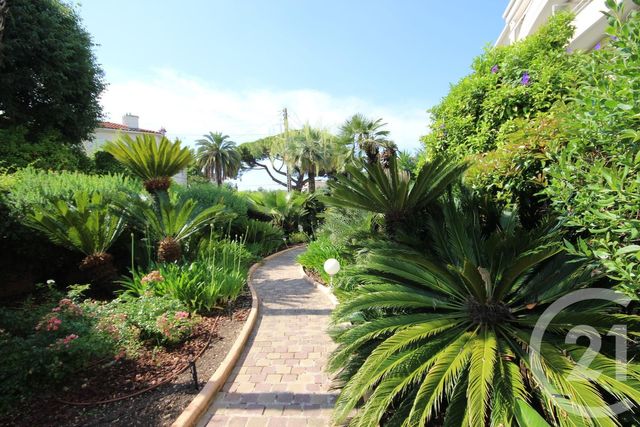 Appartement F2 à louer - 2 pièces - 31.04 m2 - CANNES - 06 - PROVENCE-ALPES-COTE-D-AZUR - Century 21 Adhère Transactions