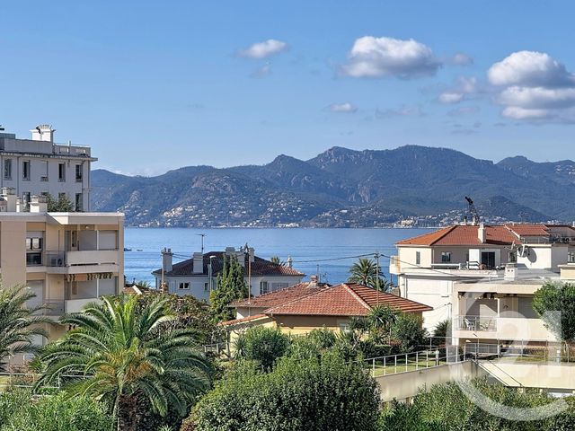 Appartement F2 à louer - 2 pièces - 33.76 m2 - CANNES - 06 - PROVENCE-ALPES-COTE-D-AZUR - Century 21 Adhère Transactions