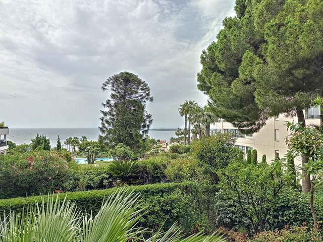 appartement - CANNES - 06