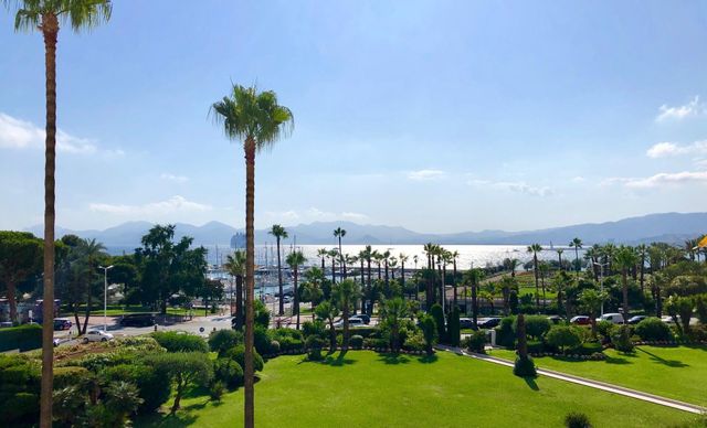appartement - CANNES - 06